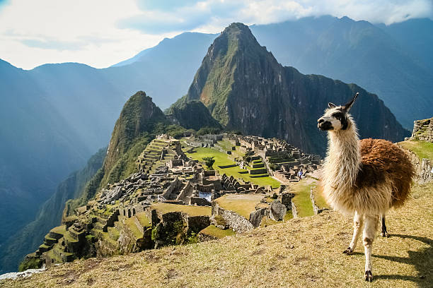 The Majestic Machu Picchu: A Symbol of Incan Ingenuity